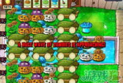 植物大战僵尸小视频